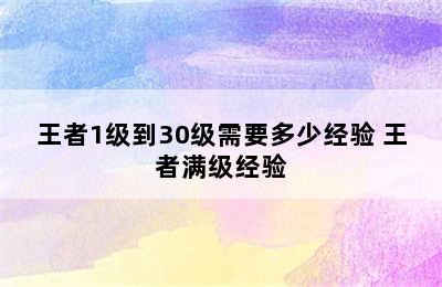 王者1级到30级需要多少经验 王者满级经验